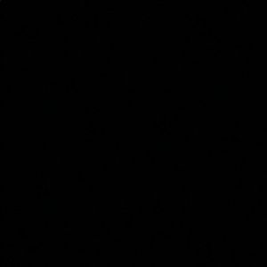 Meet your Posher, Jayce